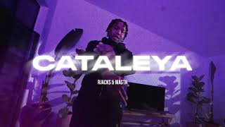 Kaza Type Beat  CATALEYA  Instru Rap 2023 [upl. by Enitram86]