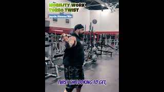 Mobility Work Torso Twist exercise thejaycineffect exercise viralvideo [upl. by Nosnek]