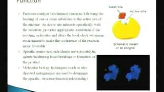 Mod01 Lec08 Biochemistry amp Thermodynamics of Enzymes [upl. by Marlen]