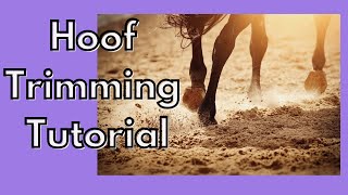 How to trim the bars on a horses hoof [upl. by Kelsey68]