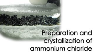 Preparation and crystallization of Ammonium Chloride [upl. by Encrata448]