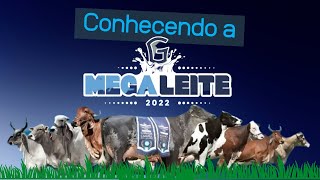 MEGALEITE 2022 A MAIOR feira do agronegócio do leite do Brasil [upl. by Neelrahs]