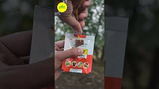 How To Use Fruit Fly Trap  Fruit Fly Pheromone trap  Green Revolution Pheromone trap Insect Trap [upl. by Enois576]