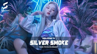 TRACK LIST SILVER SMOKE  HỘI PHÁP SƯ FAIRYTAIL x DA DA DA REMIX  NONSTOP VINAHOUSE [upl. by Htennek106]