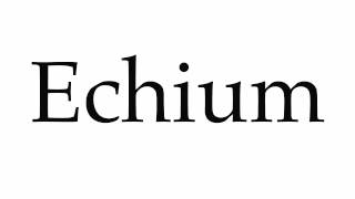 How to Pronounce Echium [upl. by Liu]