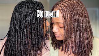 Dyeing My Microlocs Without Bleach  Creme of Nature Honey Blonde [upl. by Dennard330]