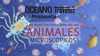 Los mundos invisibles de los animales microscópicos Oceano Travesía [upl. by Reivilo416]