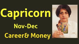 Capricorn Career  NovDec Excellent results of the hard work done growth in money amp wealth [upl. by Htebazie]