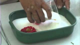 How to Use Silica Gel to Dry Flowers [upl. by Mirna]