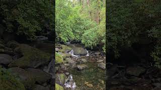 Torc Waterfall in Killarney cascades through a lush forest offering a breathtaking view [upl. by Laram]