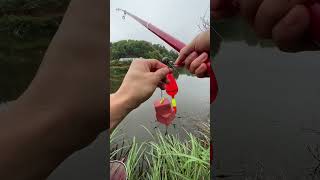 Practical fishing method for silver carp and bighead carp with sea pole and flying hook [upl. by Llemij]