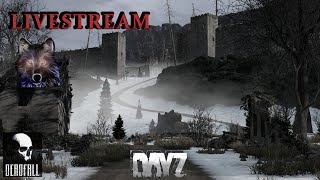 Immersed in Deadfall 💀  DayZ Survival 1440p [upl. by Alywt]