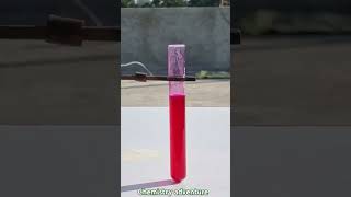 Science experiments Acid base indicator chemistry science viralvideo physics trending [upl. by Archy977]