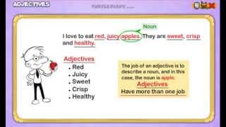 Adjectives Everything You Need To Know Grammar for Kids [upl. by Auqenahc]