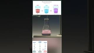 acids base reactions chemistry chemistryiscool titration reactions science scienceexperiment [upl. by Asil]