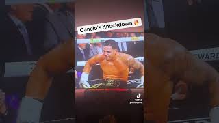 Canelos 3rd Round Knockdown 🔥🥊 boxeo caneloalvarez [upl. by Eppilihp]