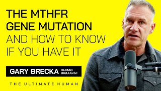 MTHFR Gene Mutation Explained How to Know If You Have It and What To Do About It with Gary Brecka [upl. by Marcin]