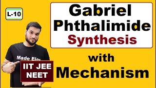 L10 Mechanism of Gabriel Phethalimid synthesis  Easy to learn  NEET JEE [upl. by Gennie217]