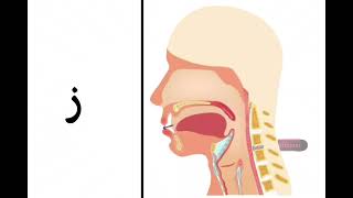 lesson 6 the ز letter in Arabic language  zay [upl. by Weaver]