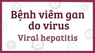 Bệnh viêm gan do virus A B C D E  nguyên nhân triệu chứng chẩn đoán điều trị và bệnh lý [upl. by Ordnagela]