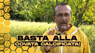 Ecco come abbiamo Risolto tutti i Problemi di COVATA CALCIFICATA [upl. by Alma305]