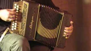 Speranze perdute  diatonic accordion organetto [upl. by Gabbie298]