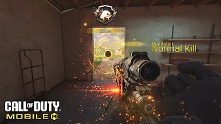 NEW LEGENDARY DLQ 33 IN COD MOBILE  DLQ 33 Dark Void Gameplay [upl. by Akinaj]