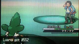 Pokemon Black amp White Walkthrough Part 19 Route 16 Surprise [upl. by Wons]