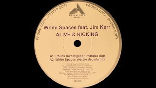 White Spaces feat Jim Kerr ‎– Alive amp Kicking Phunk Investigation Mastica Dub [upl. by Seafowl]