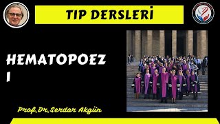 Fizyoloji Hematopoez 1 ProfDrSerdar Akgün Tıp Dersleri Serdar Akgün Tıp Videoları [upl. by Metabel]