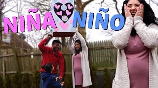 TENDREMOS NIÑA 👧🏻 o NIÑO 👦🏻 Fiesta REVELANDO el SEXO de Nuestro BEBE Vlogs Diarios [upl. by Alletnahs]