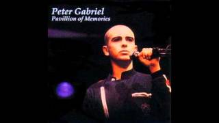 Peter Gabriel  Pavillion of Memories 1980 [upl. by Norda]