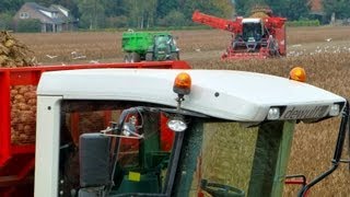 Lifting potatoes  Aardappelsrooien 2x Dewulf Kwatro  lots of Deere  Loonbedrijf Fijnaart bv [upl. by Tubb]