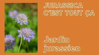 Jardin jurassien avec Gilles  JURASSICA cest tout ça [upl. by Burk]