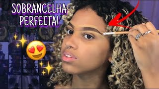 TUTORIAL de sobrancelha para iniciantes [upl. by Sophi]