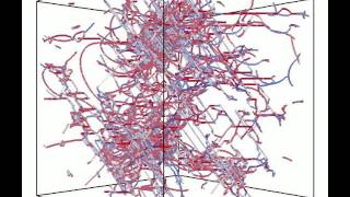 Dislocation Patterns During Cyclic Loading in Ni Free Standing Microcrystals [upl. by Asikal]