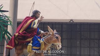 REY DE ALGODÓN  A la par de la Banda  Procesión Infantil Jesús de las Palmas Sábado de Ramos 2024 [upl. by Loeb420]