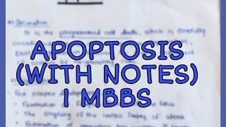 Genral PhysiologyAPOPTOSIS🔥🔥🔥 1 MBBS 1mbbs apoptosis hindi impphysiology 1 proff exam [upl. by Crescantia644]