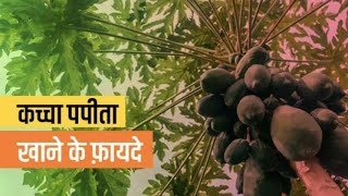 kaccha papita khane ke fayde janiye es video mein subscribe health papayahealthbenefits tranding [upl. by Blau446]