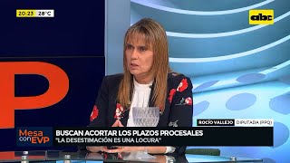 Proyecto de ley para “impunidad exprés” “es grave desde todos los puntos de vista” afirma diputada [upl. by Atiniv]