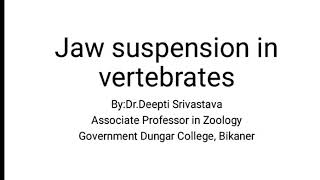 Jaw suspension in vertebrates [upl. by Aryn]