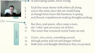 The Sonnet in the English Renaissance  Introduction [upl. by Lomasi]