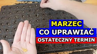 Marzec to OSTATECZNY termin na siewy tych Warzyw Co siać sadzić w Marcu Kalendarz Ogrodnika Uprawa [upl. by Greenquist150]