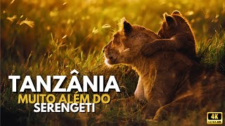 Tanzânia Muito Além do Serengeti animals wildlife documentary safari [upl. by Angelique87]