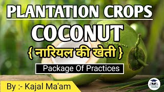 Plantation Crop  Coconut  Horticulture  By  Kajal Maam [upl. by Sharia876]