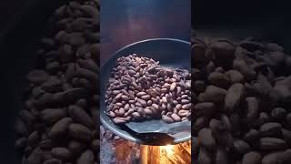 Making roasted Cacao seeds [upl. by Ydnir]