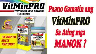 Paano Gamitin ang VitMinPRO para sa ating mga Manok [upl. by Aihn629]