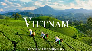 Vietnam 4K  Scenic Relaxation Film With Calming Music [upl. by Otsuaf997]