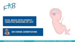 Foetal Brain Development – ‘Sensitive Windows of Life’ [upl. by Pegma]