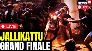 Jallikattu LIVE 2024  Madurai Jallikattu  Udhaynidhi Stalin At Allanganallur Jallikattu  N18L [upl. by Brittany]